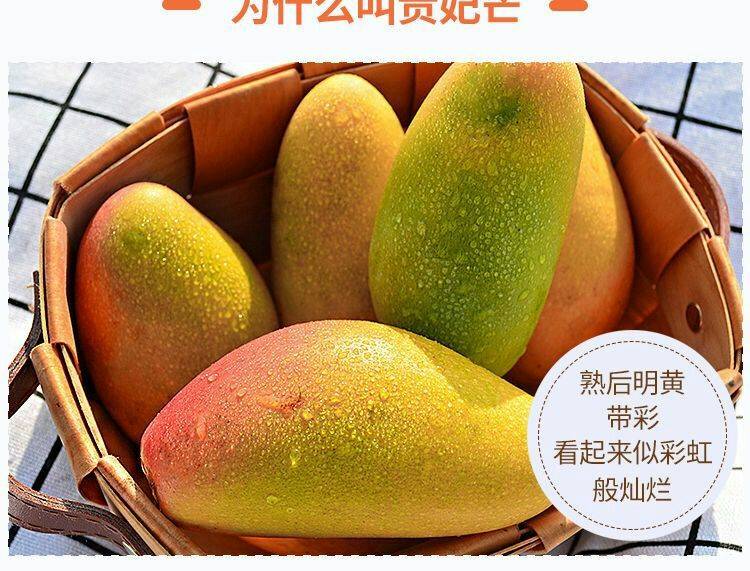 (坏果包赔)海南贵妃芒应季新鲜红金龙芒果热带水果一件代发